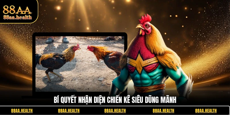 Bí quyết nhận diện chiến kê siêu dũng mãnh