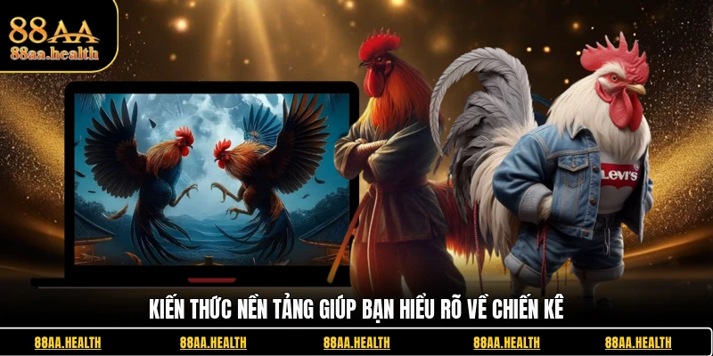 Kiến thức nền tảng giúp bạn hiểu rõ về chiến kê