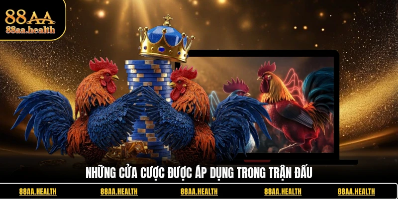 Những cửa cược được áp dụng trong trận đấu
