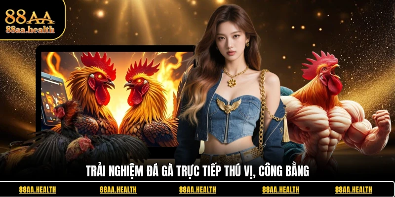 Trải nghiệm đá gà trực tiếp thú vị, công bằng